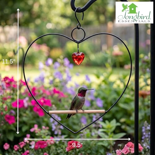 Songbird Essentials Tweet Heart Hummingbird Swing - Black - Wooden Dowel - color: Black