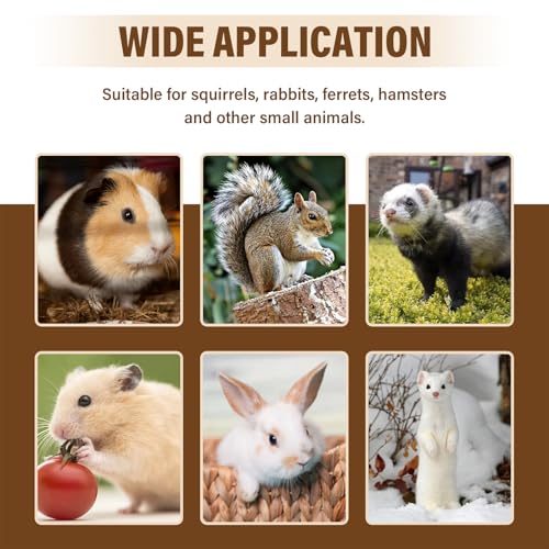 3Pcs Rat Harness and Leash, Small Animal Training Walking Vest Leash Adjustable Traction Rope Strap for Squirrel Gerbil Chinchilla Rat (Brown) - color: Brown