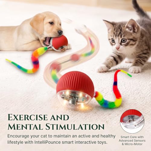 2PCS Interactive Cat Toy Rolling Ball Chewie Viral Dog Ball with Tail - color: Color3