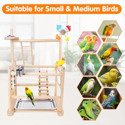 Bird Playground, 3 Tier Bird Perch Stand Parrot Playground Bird Tree with Parakeet Toys, Bird Ladder & Swing, Feeder Cups, Parakeet Mirror, and Removable Tray for Small to Medium Birds - size: 3 Tier