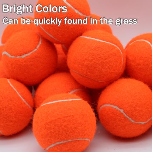 SHYUJAJIE Tennis Ball,20 Pack Practice Balls Bulk,Dog Balls with Mesh Bag - color: Orange