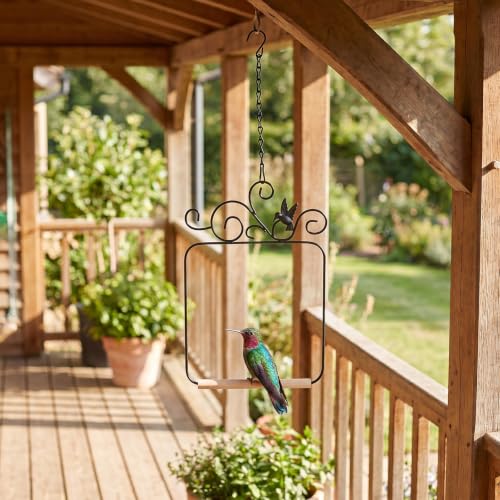 Hummingbird Swings and Perches 11.6x8.1in Humming Bird Swing