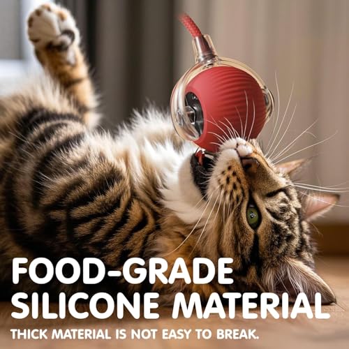 Rocfish Interactive Cat Toys for Indoor Cats, Automatic Cat Ball Toy - color: red01, size: 01