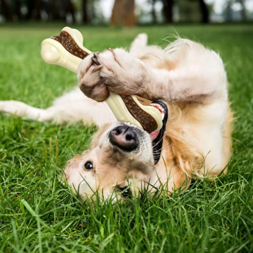 Sosation 4/5 Pack Dog Chew Toys for Aggressive Chewers Indestructible Nylon Dog Bones Beef Flavor Teething Chew Toys Bones for Large/Medium/Small Puppies(Medium) - size: Medium