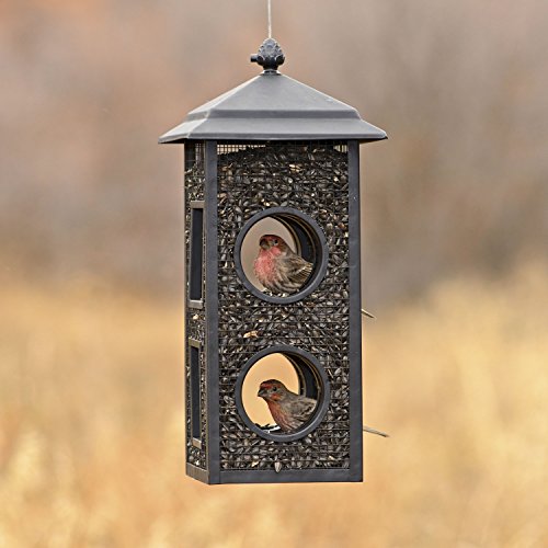 Perky-Pet Fly-Thru Wild Bird Feeder, 2 lb Seed Capacity (Pack of 2) - size: 2 Pack
