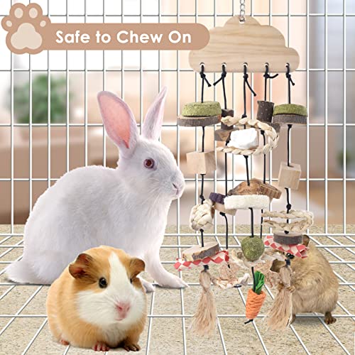 Bissap 3 PCS Rabbit Chew Toy, Bunny Cage Hanging Chew Toys Treats Rattan Ring with Snacks Water Grass Wooden Block Carrot for Guinea Pigs Chinchillas Hamsters Rats and Other Small Pets Teeth Grinding - size: 3 PCS