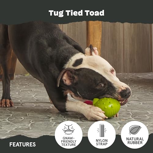 BarkBox Tug Tied Toad Dog Toy - for Large Dogs - color: Tug Tied Toad-Large