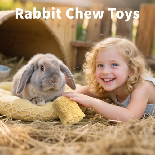 BESNEW 3 PCS Rabbit Chew Toys,100% Natural Loofah Without Additives,Bunny Chew Toys for Teeth,Fiber-Rich Rabbit Treats for Bunny Chinchilla Dogs - style: 3 ps