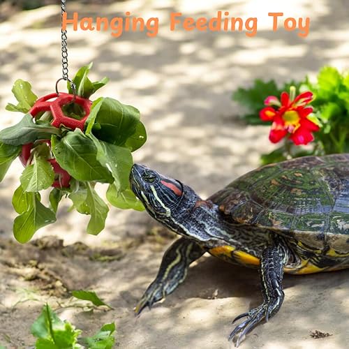 Turtle Feeder Ball with Chain, Hanging Tortoise Treat Ball, Turtle Enrichment Toys, Tortoise Hay Holder, Foraging Food Toy for Small Pet Rabbit Bunny Guinea Pig, Tortoises Accessories (Red Ball) - color: Red Ball