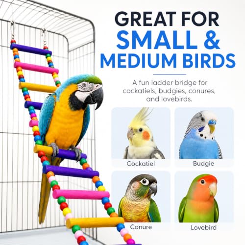Flexible Wooden Bird Ladder Bridge for Cages, 25 in, 10 Steps - color: 25Inch - 10 Ladders