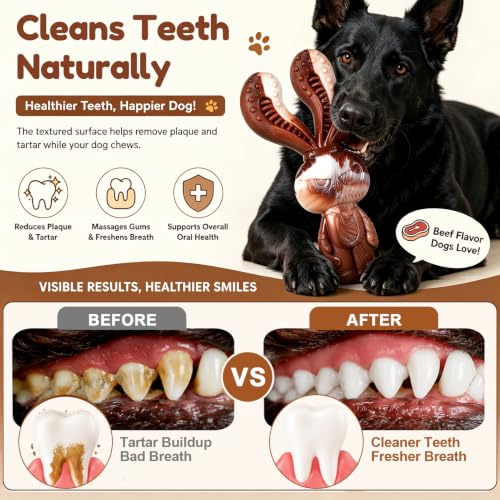 Indestructible Dog Toys for Aggressive Chewers, Tough and Durable Chew Toys for Large Medium Dogs, Interactive Dog Chew Toys to Keep Them Busy (D Crab) - color: D Crab
