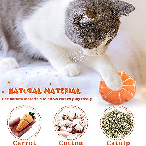 Mini Cat Catnip Toys for Indoor Cats 10 Pack