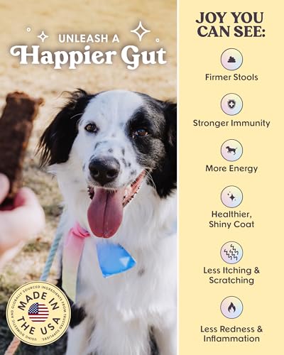 Bundle x Joy Chicken Jerky Dog Training Treats, Grain & Beef Free 2 lb - size: 32 Ounce (Pack of 1)