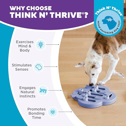 Outward Hound Nina Ottosson Dog Hide N' Slide Dog Toy Treat Puzzle, 11.6" - color: Dog Hide-N-Slide (Purple), size: 1 Count (Pack of 1)