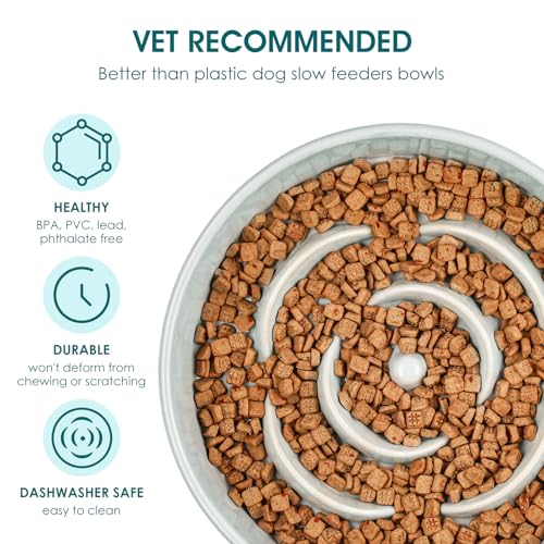 vancasso Slow Feeder Dog Bowl, 1.5 Cup Ceramic Puzzle Dish for Medium Breed - color: Grayish Cyan, size: M - 1.5 Cups