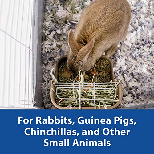 Kaytee Hay & Food Bin Feeder with Quick Locks for Pet Rabbits, Chinchillas, Guinea Pigs and Other Small Animals (Pack of 2) - size: 5.75 inches x 6 inches x 7 inches (Pack of 2)