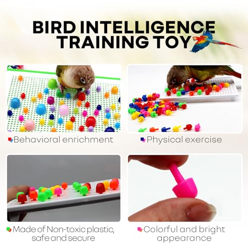QBLEEV Parrot Puzzle Toys for Parakeets, Cockatiel & Conure - Bird Intelligence Training & Foraging Toys - color: Building Blocks Toy