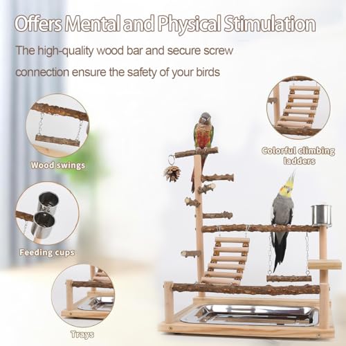 Bird Playground, Parrot Perch Stand, Natural Wood Bird Play Stands for Cockatiel Wood Perch Gym Playpen Ladder with Removable Tray and 2 Stainless Steel Cups, Bird Cage Accessories, Parrot Swing - color: Borown