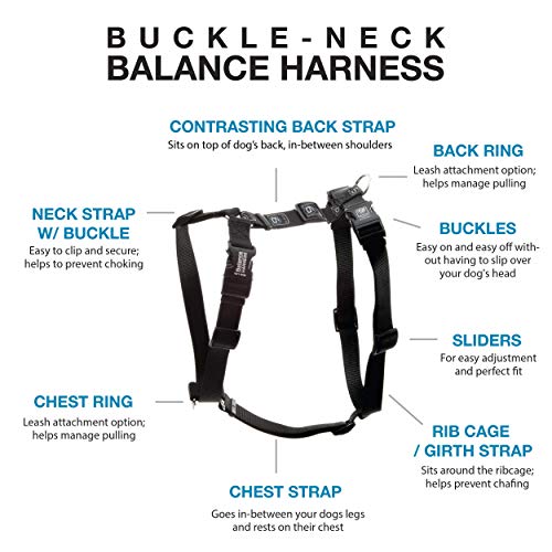 Blue-9 Balance Harness® and Leash Walking Set for Dogs, No-Pull, Black, M - color: Black, size: Medium
