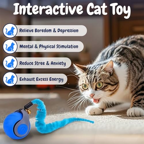 Interactive Cat Toy Ball - Motion-Activated, USB Rechargeable Cat Toys for Indoor Cats with Anti-Scratch Cover & 2 Changeable Tails - Enrichment Toy for Active Cats & Kittens - color: 02 Blue