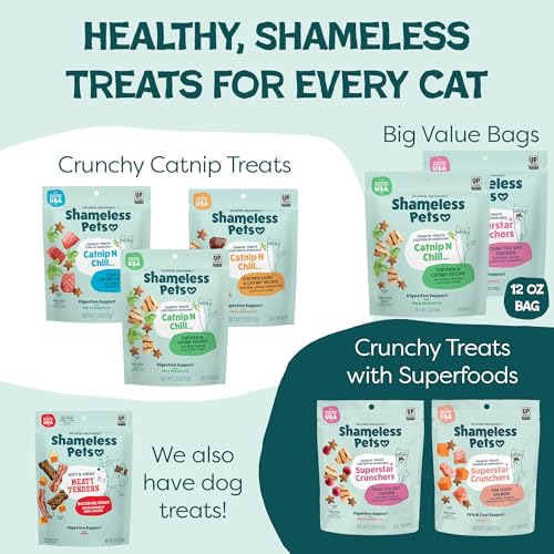 Shameless Pets Crunchy Cat Treats - Catnip N Chill, 2.5 oz - size: 2.5 Ounce (Pack of 1)