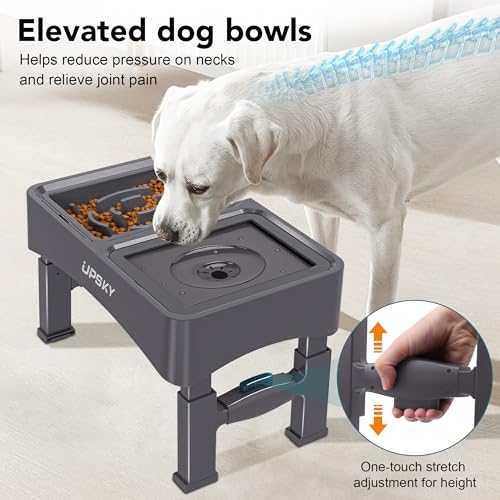 UPSKY 2-in-1 Elevated Dog Bowls Set with 4 Height Adjustable Stand, Gray - color: A-Water Bowl+Slow Feeder (Grey)