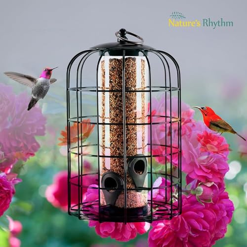Nature's Rhythm Outdoor Hanging Bird Feeder Cage PC Tube Squirrel Proof Wild Bird Feeder with Large Metal Seed Guard Deterrent - size: PC Tube Bird Feeder