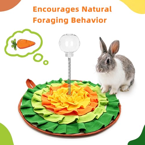 2-in-1 Large 19.7" Round Foraging Mat & Treat Ball For Rabbit Small Animals