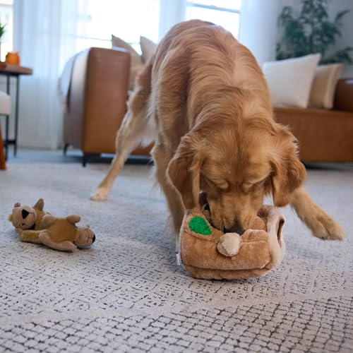 Outward Hound Hide-A-Squirrel Plush Squeaky Dog Toy, Large, 10.5" x 7.5"