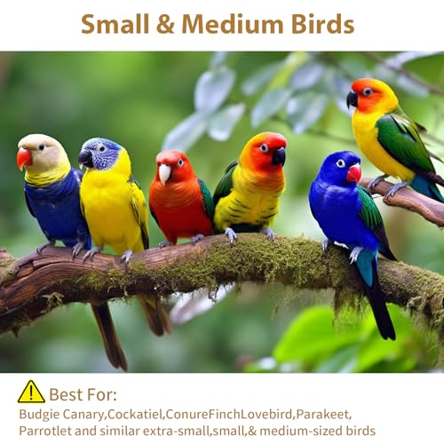 16 Pack Natural Balsa Wood Bird Chew Toys - World's Softest Wood, Safe Chewing Toys for Parakeets, Cockatiels, Lovebirds & Small Medium Birds. (Medium) (Medium 1)