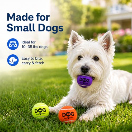 INSUM Tennis Balls for Dogs, 12 Pack Colorful Dog Toys Balls - size: Small