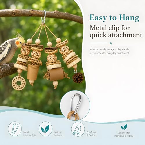 Parakeet Foraging Toy with Loofah & Pine Cone, Bird Chew Toy