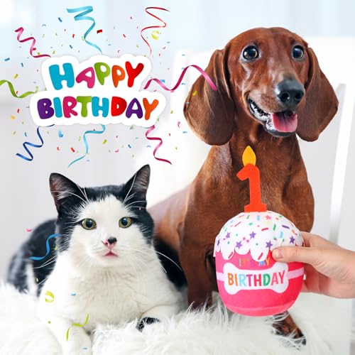 Dansydaisy Dog Birthday Cake Toy Squeaky Plush Gift,1st,Pink - color: Pink, style: 1st