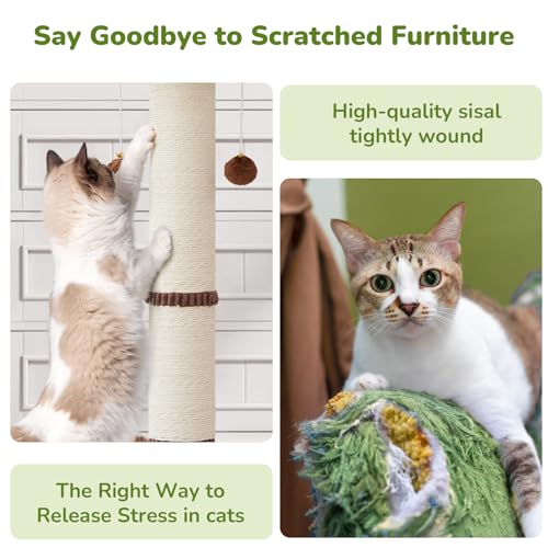 Woochpet 34" Tall Cat Scratching Posts,Heavy Duty and Thicker Cat Scratcher - color: Green