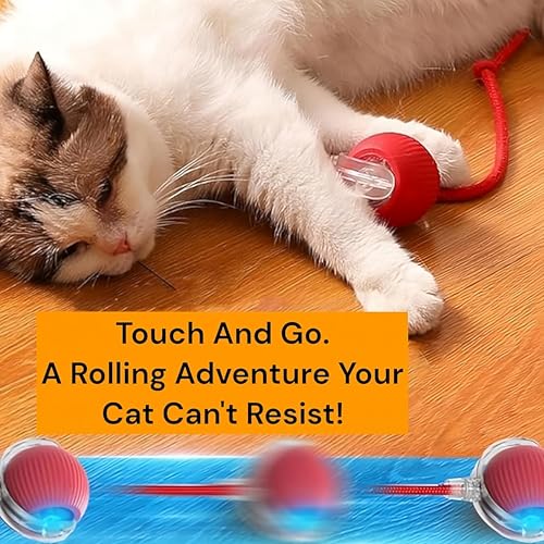 Durable Interactive Cat Toys for Indoor Cats, Dog Toys Ball, Rolling Pet Ball, Smart Automatic Cat Chase Balls Toy, Interactive Dog Toys Speedy Tail,Kitten & Cat Toys Interactive (Pink) - color: PINK
