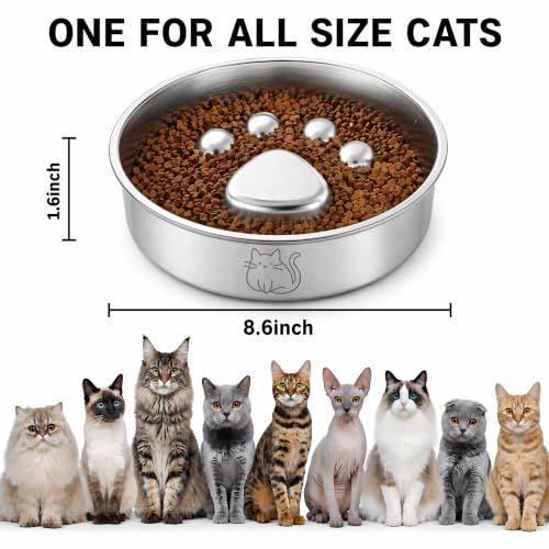 Stainless Steel 2‑in‑1 Double‑Sided Slow Feeder Cat Bowl