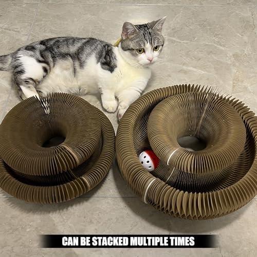 Magic Organ Cat Toy, 1PC Scratching Board