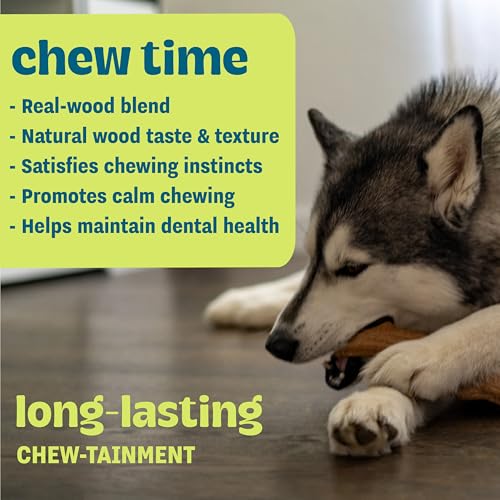 Pupstages Super Dogwood Stick Dog Chew Toy, Made in USA, Medium, 9.5" - size: Medium (Pack of 1)
