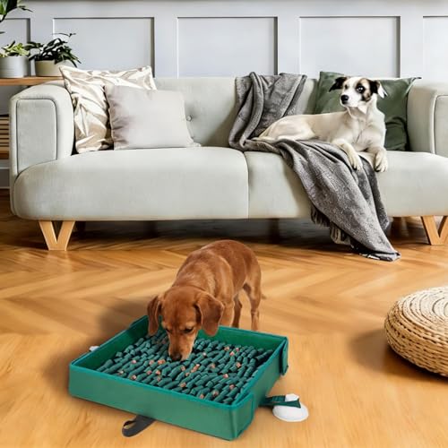 Liitrton Dog Snuffle Mat, Interactive Slow Feeding Sniff Mat for Dog, Green - color: Green