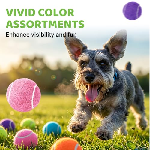 ZIYIZE Mini Tennis Balls, 20 Pack 2 inch Dog Tennis Balls, Easy Catching Pet Playing Ball for 2 inch Dog Ball Launcher Colour - color: 20PCS Mix