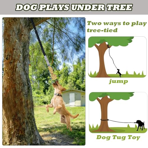 Dog Bungee Tug Toy in outside with Stake, outside dog toys for Yard & Tree