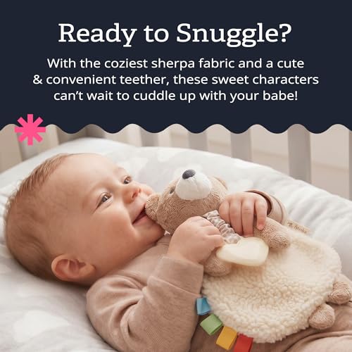 Itzy Ritzy Lovey Including Teether, Teething Relief, 0 Months & Up (Bear) - color: Bear