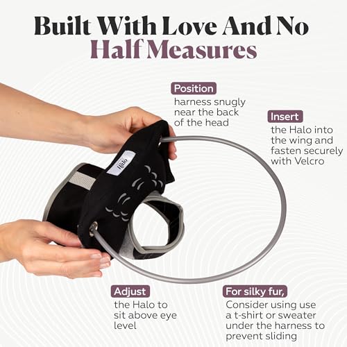 Muffin’s Halo® Original Blind Dog Halo, Harness Bumper Collar, Black Size 6 - color: Black, size: 6