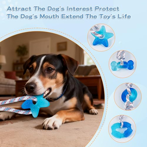 Dog Chew Toys for Aggressive Chewers, Multiple Textures & Rope, ndestructible Tough Durable Interactive Dog Toys, Puppy Chew Toys for Teething， Blue Five-Pointed Star - style: Star Shape