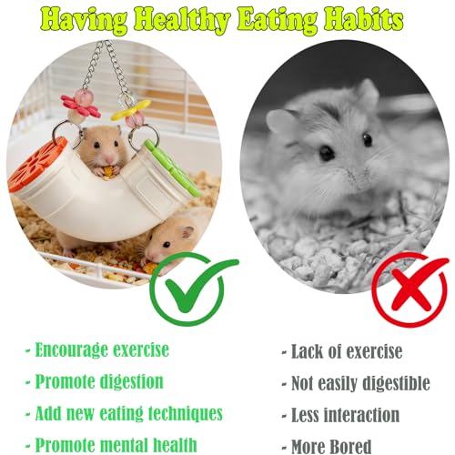 Rat Enrichment Toy, Mouse Interactive Foraging Toys for Various Treats