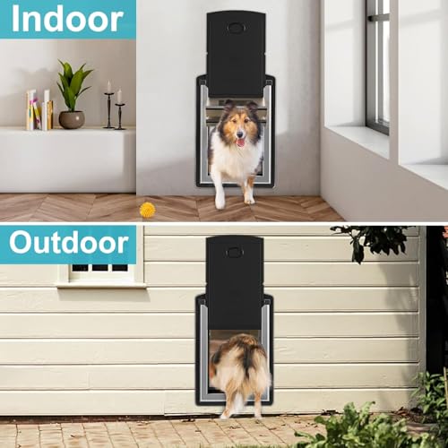 ClawJaw Small Exterior Wall Steel Cat Door for Wall - size: Small