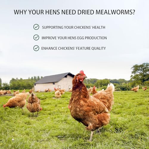 Dried Mealworms 20LB Pure Natural Chicken Treat for Laying Hens Wild Bird - size: 10 Pound (Pack of 2)