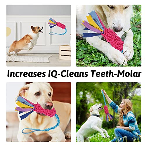 wodoca Dog Tug Toy - Aggressive Chewer Rope Toy with Strong Squeak - color: Red Chenille, Blue Webbing