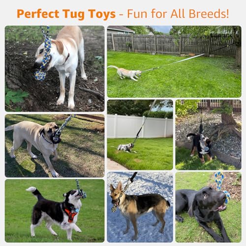 LOOBANI Outdoor Bungee Tug Toy, Interactive Dog Tree Hanging Toys, Green - color: Red+Green
