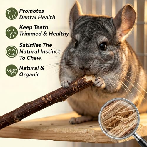 Sukh 340g Organic Apple Sticks - Natural Chew Sticks for Rabbits & Rodents - size: 340g